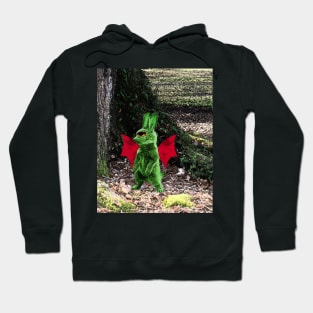 Meer Demon Hoodie